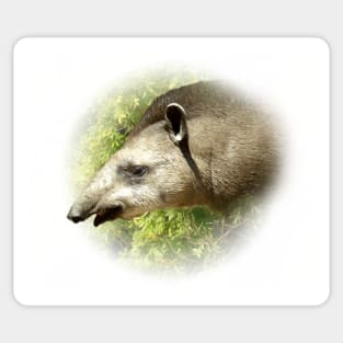 Tapir Sticker